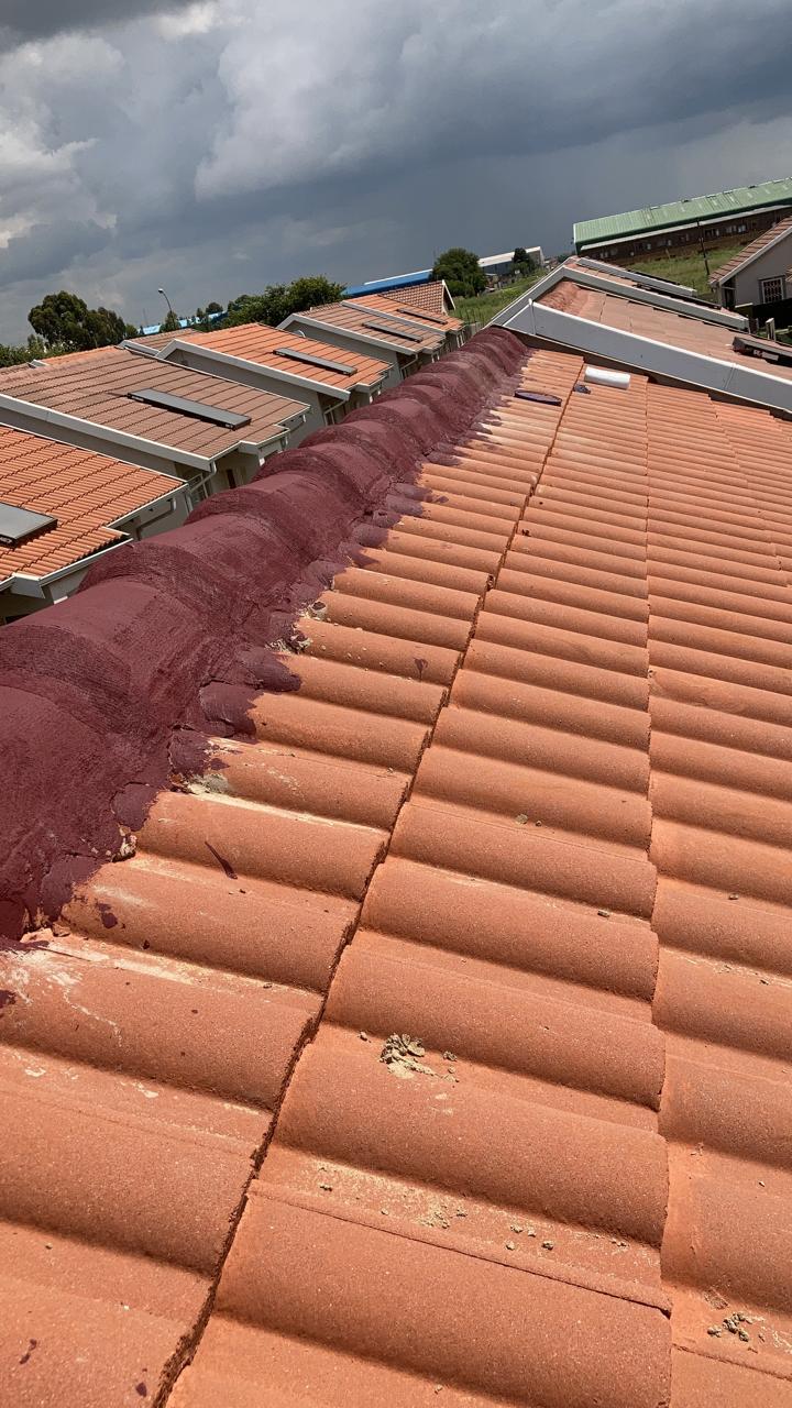Roof painting by Handyman Gauteng